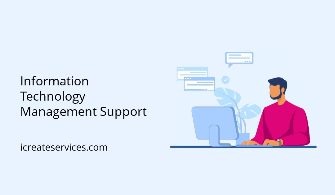 Information Technology Management Support